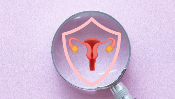 A graphic of a woman's reproductive system